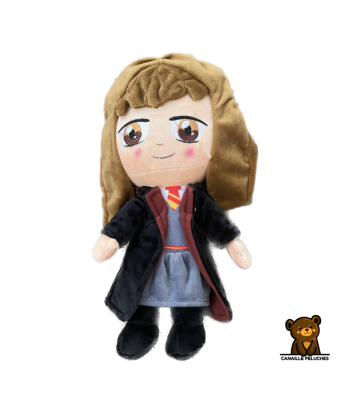 HARRY POTTER HERMIONE T3