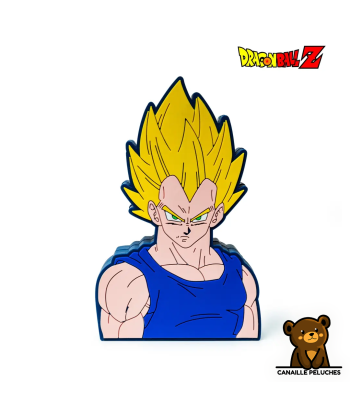 ENCEINTE SANS FIL DB VEGETA