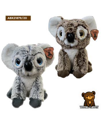 KOALA 20CM X 12